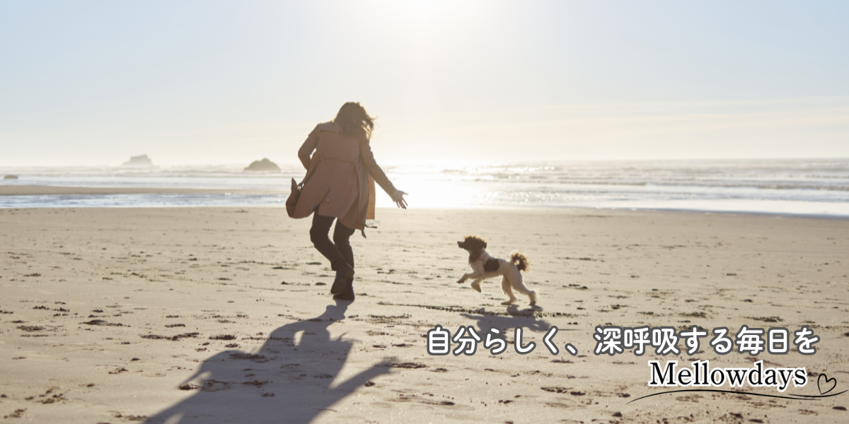 浜辺で遊ぶ女性と犬